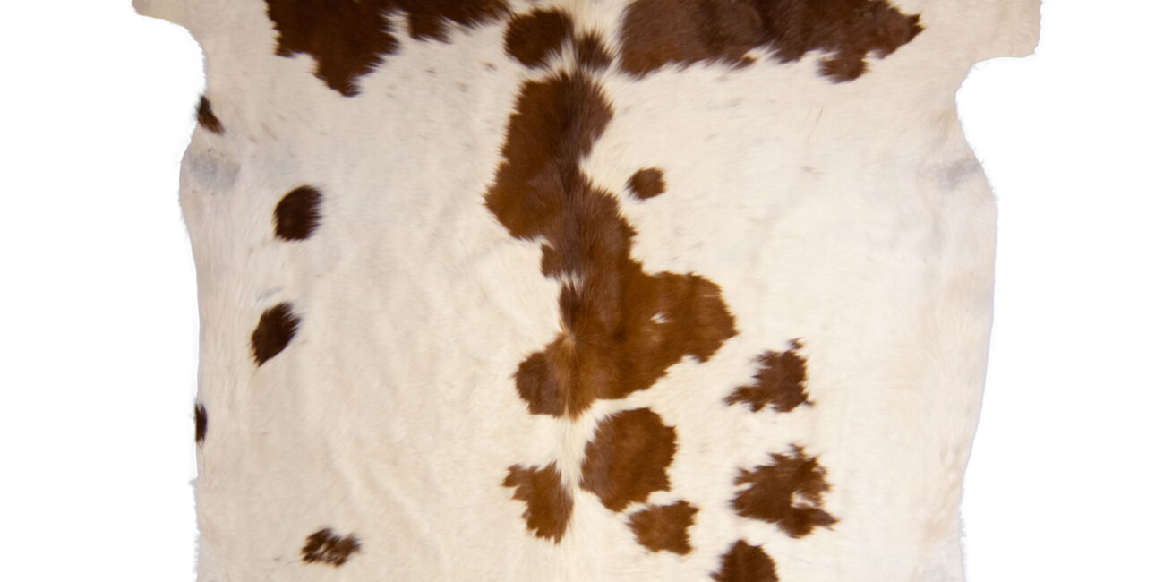 How to hang a cowhide rug on a wall using a genuine Nguni hide