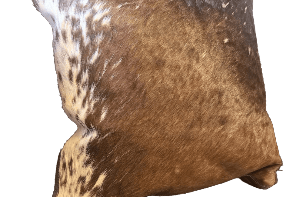 Nguni cushions styled in a modern South African interior